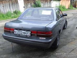 91国产a,引领潮流的国产创新力量